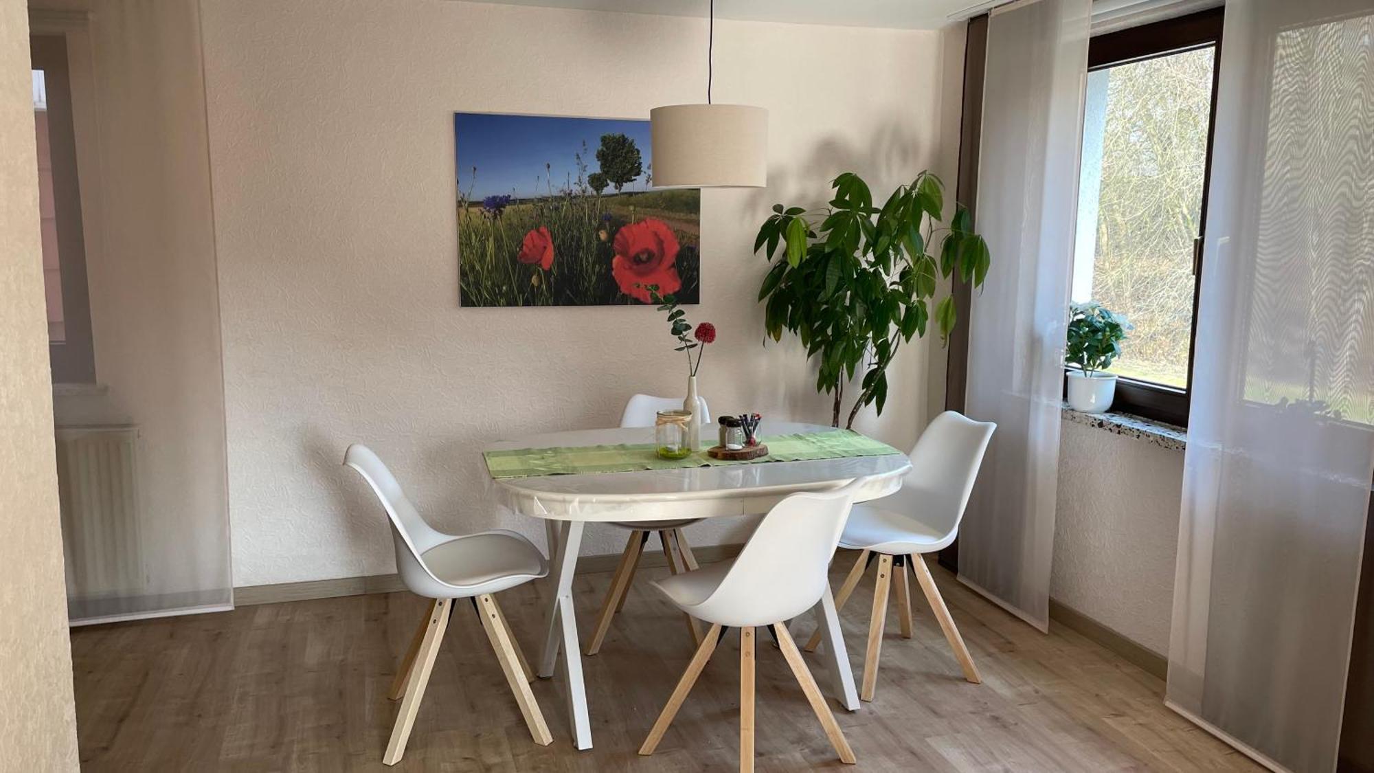 Ferienwohnung Schwarze ドゥーダーシュタット エクステリア 写真